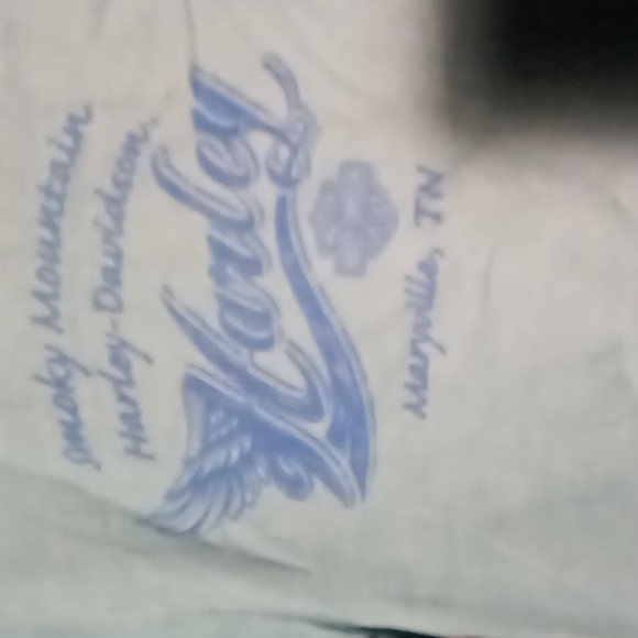 Harley-Davidson Hoodie - Picture 7 of 8